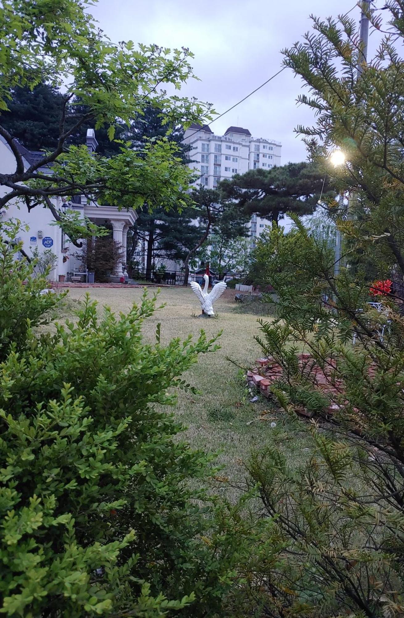 더 캐슬 스테이 춘천 외부 사진